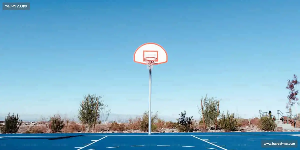 行业领先的理由